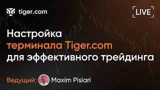 Настройка терминала Tiger.com для эффективного трейдинга