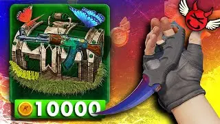 All-In Cook PAID Over 10,000!!💰30,000 Monthly LB + Daily Stream Giveaway💰