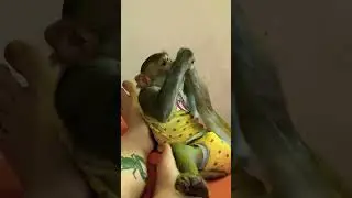 Боря 🌞 
