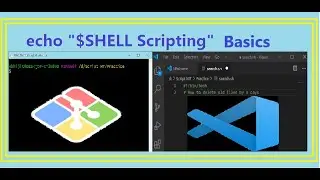 Basic Shell Scripting | Read a Variable