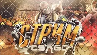 ВЕЧЕРНИЙ СТРИМ