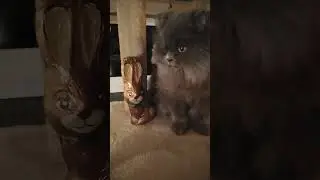 Möpschens Osterhase