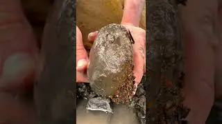 We Cracked Open Rocks For Fossils! 🦴🏝️