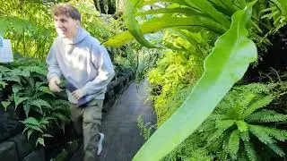Glasgow Botanic Gardens