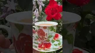 Доброе утро #большаястрана! #олявполе #завтрак #кофе #доброеутро #всебудетхорошо #pianocover #music