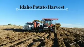 Idaho Potato Harvest 2016