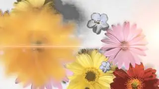 Logo in Flowers After Effects Project Download