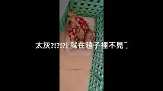 Mr. Dobby's Channel (episode 7) - 天使?! 斷電?! 篇