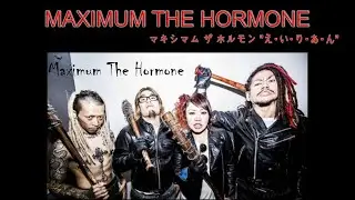 MAXIMUM THE HORMONE (Reaction)