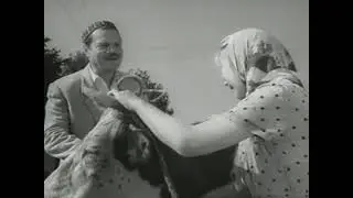 СУД ИДЁТ (1963) КОМЕДИЯ