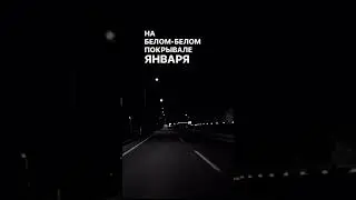 — на белом - белом покрывале января — 