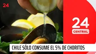 A comer más chorito: Chile solo consume solo el 5% de lo que produce | 24 Horas TVN Chile