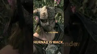 Defeating the Skyrim in one move?? 