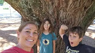 Historical Tree/ How Is Charlie, Our Peking Duck
