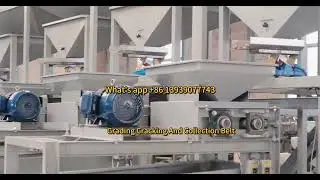 Hazelnut Almond Shelling Machine Sheller Processing Production Line