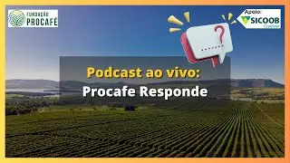 Podcast ao vivo: Procafe Responde