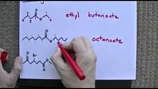 Esters: Naming + Properties