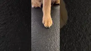 Foot trim