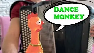 Tones and I - DANCE MONKEY | Chicken and Accordion Cover
