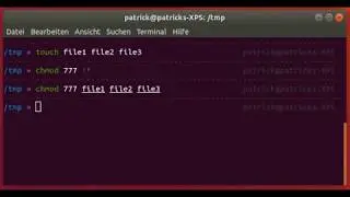 How to repeat the arguments of the previous command in Linux Bash