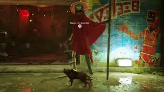 Stray #5