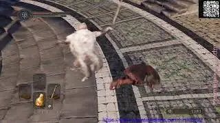 Dark Souls II | Играю в первый раз