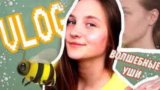 ВЛОГ | гуляю с другом-бизнесменом