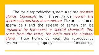 SCIENCE 10 3Q MELC 1:LAS 1-2 HOMEOSTASIS IN REPRODUCTIVE SYSTEM
