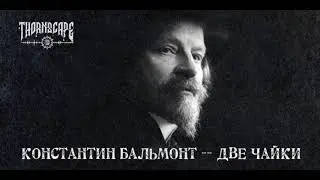 Константин Бальмонт - Две чайки