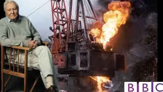 High Lead Logging - Explained by Sir David A(I)ttenborough