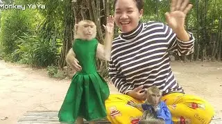 YaYa Waving So Beautiful, Joining Jilly
