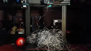 First Print & Failure of 2020