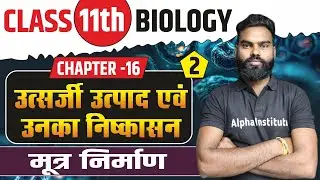 मूत्र निर्माण | उत्सर्जी उत्पाद एवं उनका निष्कासन | Chapter 16 Class 11th Biology Hindi Medium
