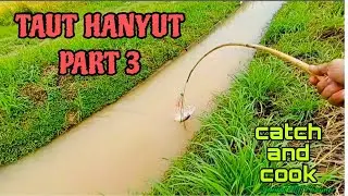 #EP1180 Taut Haruan Musim Hujan | Tahan Dua Jenis Taut | Aktiviti Kampung
