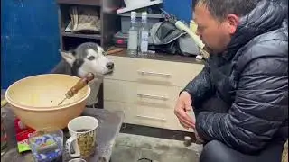 РАЗГОВОР ПО ДУШАМ!#recommended #рекомендации #рыбалка #астана #animals