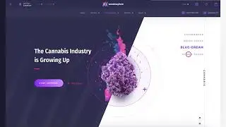 Amazing template for the website design