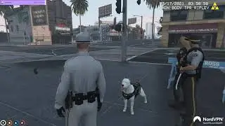 Ripley is down baaad | GTA 5 RP NoPixel 3.0
