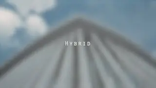 [Hybrid]