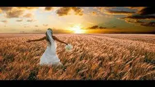 Psalm 91:1-4 He Will Cover You with His Feathers, Under His Wings--You will Find Refuge!