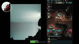 Стрим. Играем игру про муравьев 