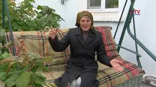Окрестности. Хохольский район. Парничный