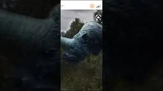 Удивительные древние носороги(1)