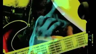 murfy