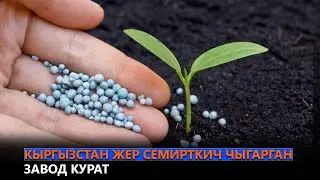 Кыргызстан жер семирткич чыгарган завод курат