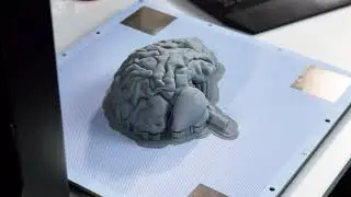 Zortrax M300 Plus 3D Printer | Timelapse of 3D Printing an Educational Model with Z-ABS Material