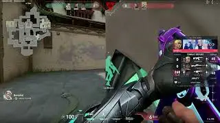 Bonakid's Sova IQ 1000
