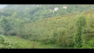 2020 08 13 Sürmene Köyünde Mangal, Cay Bahceleri Deniz,,,