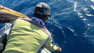 @KaELFishing #Marlin20KG