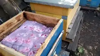 Сделал двухкорпусной улей с особенностями