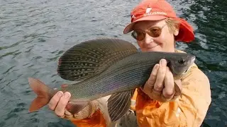 Рыбалка на хариуса